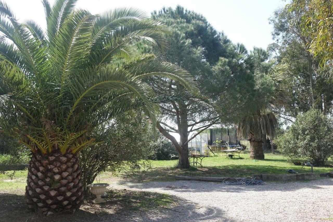 Mas Du Roc Villa Saint-Nazaire  Bagian luar foto